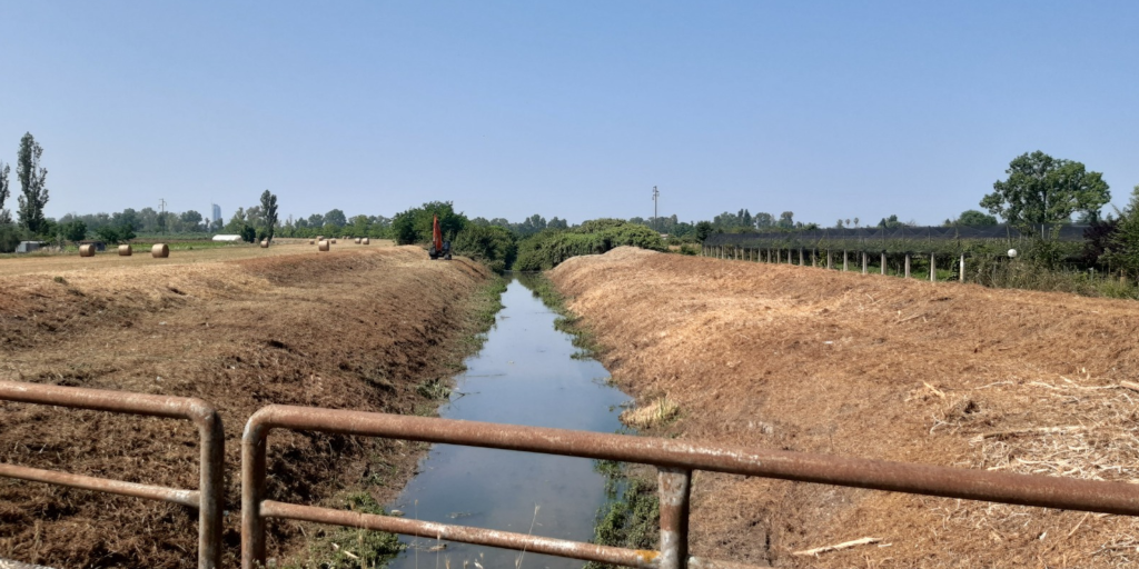 Canale Acque Medie - LATINA