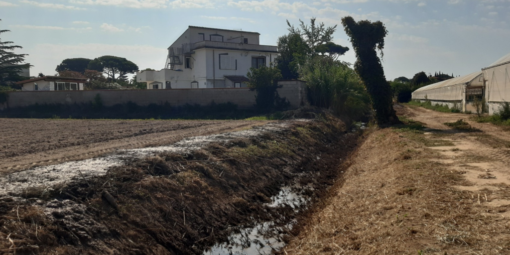 2° Affluente sx canale Olevola - TERRACINA (LT)