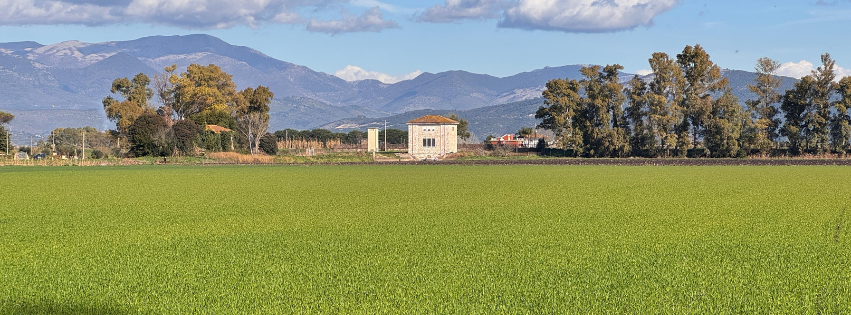 Campagna pontina con impianto idrovoro di Tabio
